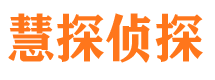 噶尔调查公司